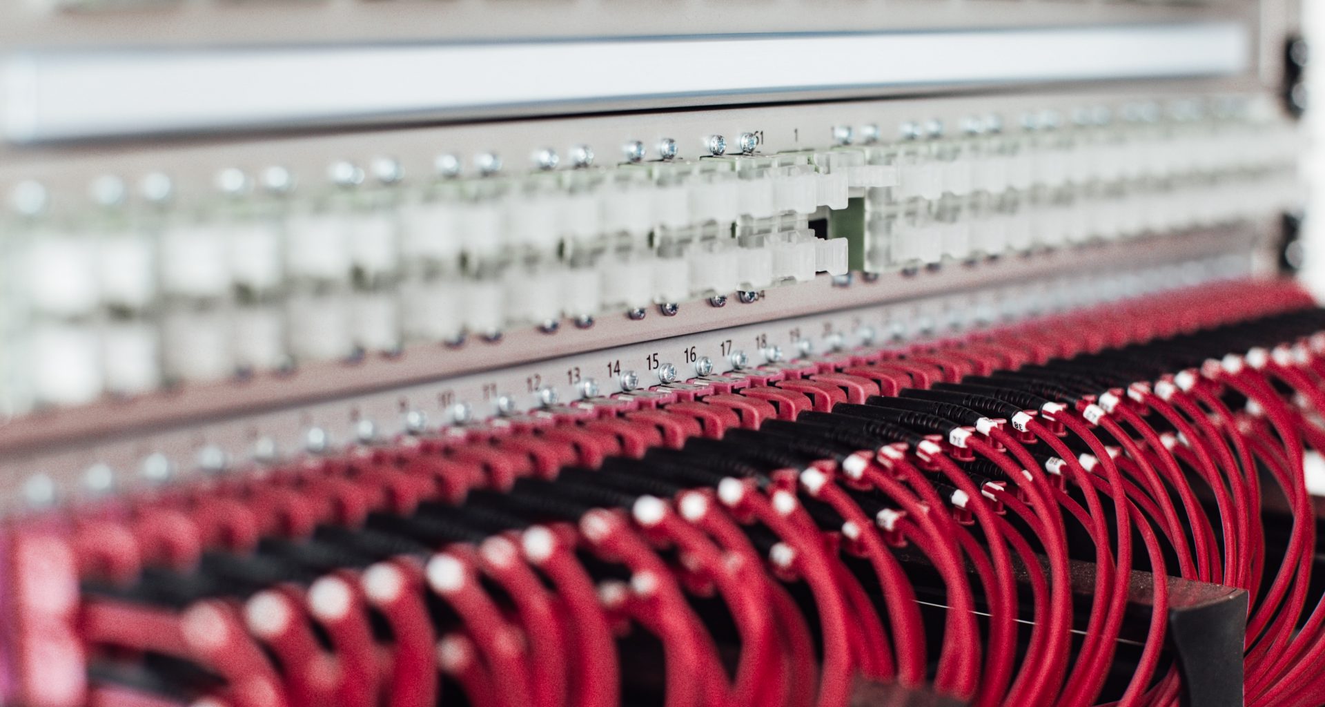 Photo by Lars Kienle on Unsplash